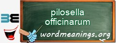 WordMeaning blackboard for pilosella officinarum